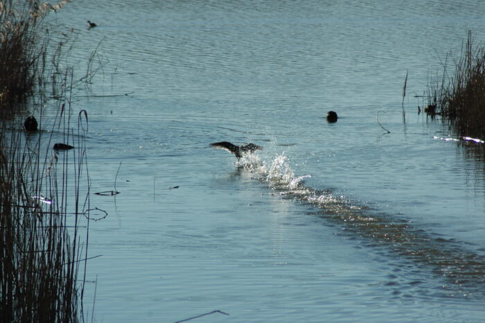 Secret lakes of Sicily